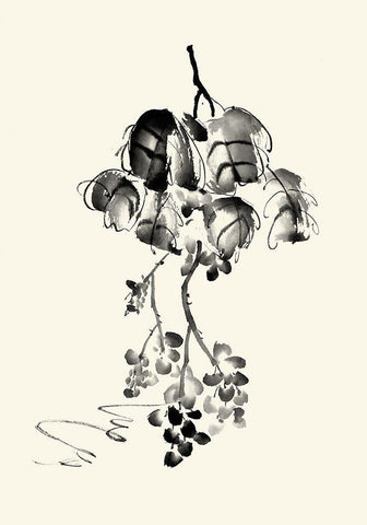 Ink Wash Floral V - Grapes White Modern Wood Framed Art Print with Double Matting by Rae, Nan