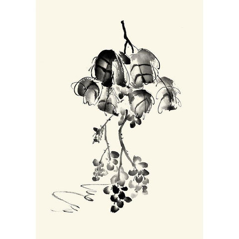 Ink Wash Floral V - Grapes Black Modern Wood Framed Art Print by Rae, Nan