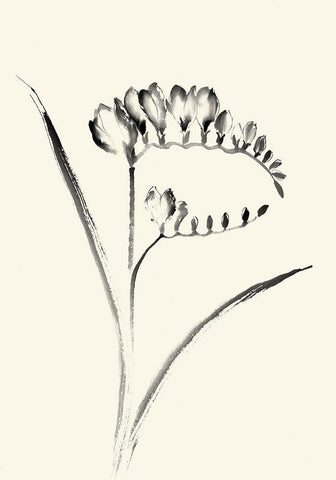 Ink Wash Floral VI - Freesia White Modern Wood Framed Art Print with Double Matting by Rae, Nan