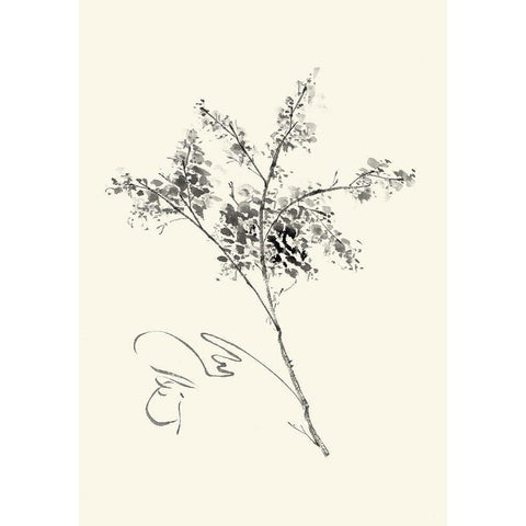 Ink Wash Floral VII - Forsythia White Modern Wood Framed Art Print by Rae, Nan