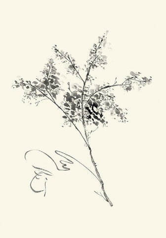 Ink Wash Floral VII - Forsythia White Modern Wood Framed Art Print with Double Matting by Rae, Nan