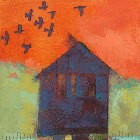 Bird Barn II Black Modern Wood Framed Art Print with Double Matting by Jachimiec, Sue