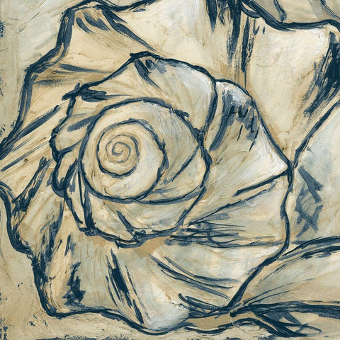 Navy Seashell Spiral I Black Ornate Wood Framed Art Print with Double Matting by Meagher, Megan