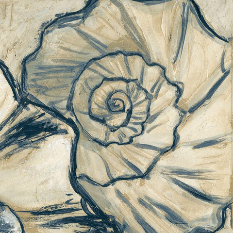 Navy Seashell Spiral II White Modern Wood Framed Art Print with Double Matting by Meagher, Megan