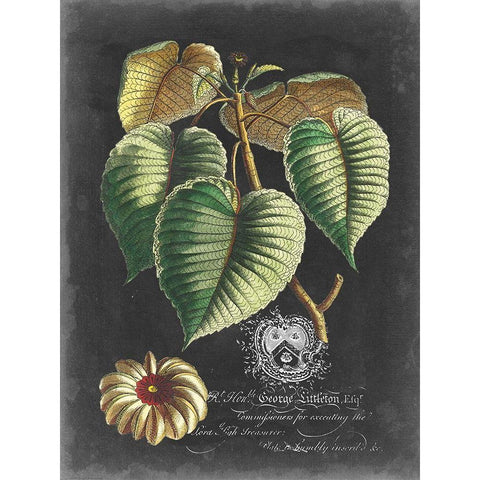 Royal Foliage I Gold Ornate Wood Framed Art Print with Double Matting by Vision Studio