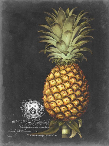 Royal Brookshaw Pineapple I White Modern Wood Framed Art Print with Double Matting by Brookshaw, George