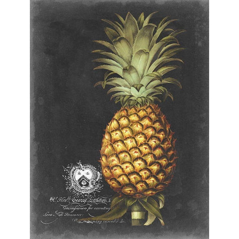 Royal Brookshaw Pineapple I Black Modern Wood Framed Art Print by Brookshaw, George