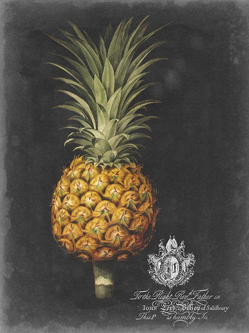 Royal Brookshaw Pineapple II White Modern Wood Framed Art Print with Double Matting by Brookshaw, George