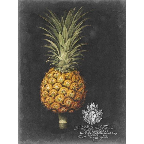 Royal Brookshaw Pineapple II Black Modern Wood Framed Art Print by Brookshaw, George