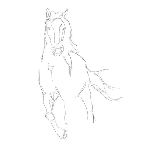 Horse Contour II White Modern Wood Framed Art Print by Harper, Ethan