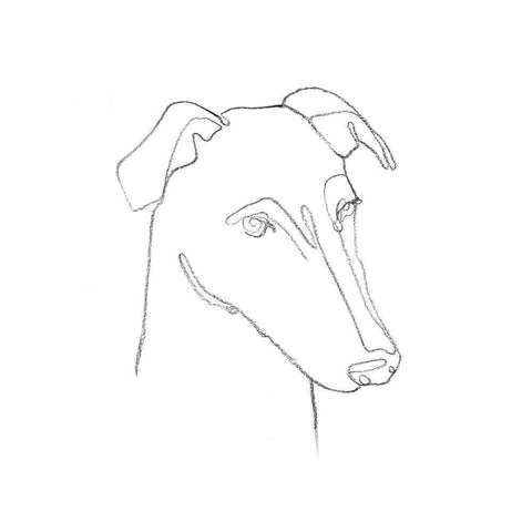 Greyhound Pencil Portrait II Black Modern Wood Framed Art Print with Double Matting by Scarvey, Emma