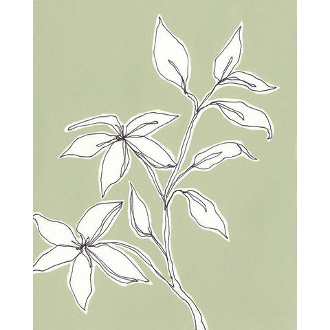 Botanic Drawing I Gold Ornate Wood Framed Art Print with Double Matting by Moore, Regina