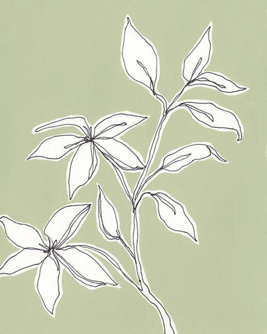 Botanic Drawing I Black Ornate Wood Framed Art Print with Double Matting by Moore, Regina