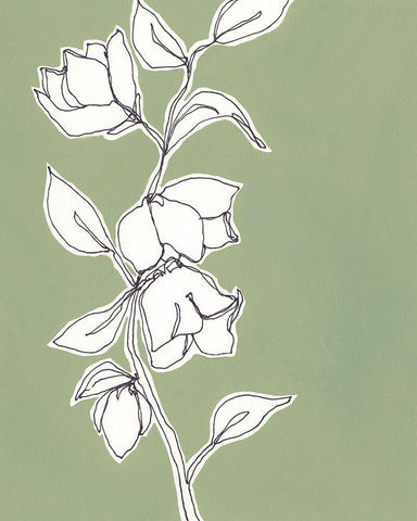 Botanic Drawing II White Modern Wood Framed Art Print with Double Matting by Moore, Regina