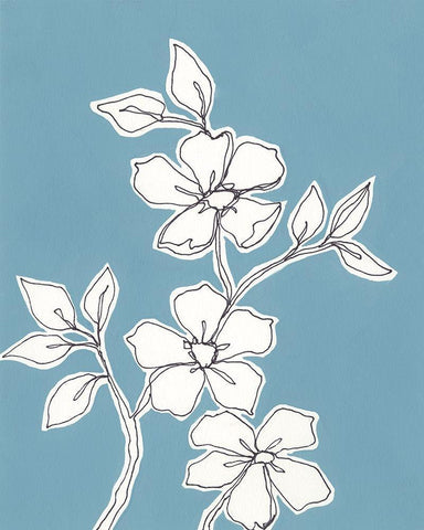 Botanic Drawing III White Modern Wood Framed Art Print with Double Matting by Moore, Regina