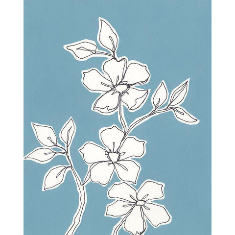 Botanic Drawing III Black Modern Wood Framed Art Print with Double Matting by Moore, Regina