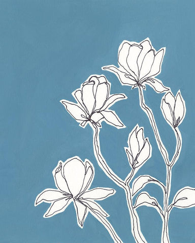 Botanic Drawing IV White Modern Wood Framed Art Print with Double Matting by Moore, Regina