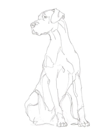 Dog Contour II White Modern Wood Framed Art Print with Double Matting by Harper, Ethan