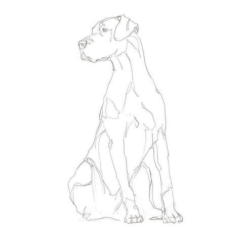 Dog Contour II Black Modern Wood Framed Art Print by Harper, Ethan