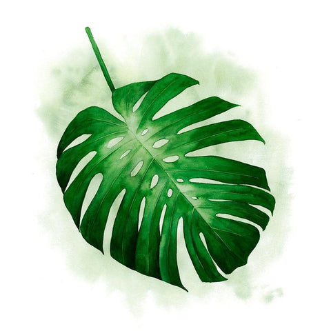 Palm Wash I White Modern Wood Framed Art Print with Double Matting by Popp, Grace