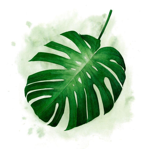 Palm Wash II White Modern Wood Framed Art Print by Popp, Grace