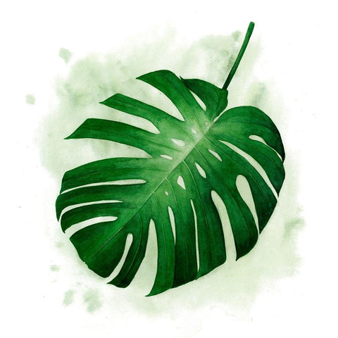 Palm Wash II Black Ornate Wood Framed Art Print with Double Matting by Popp, Grace