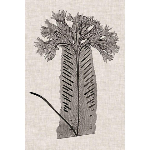 Custom Fern Family V (LG) Gold Ornate Wood Framed Art Print with Double Matting by Lowe