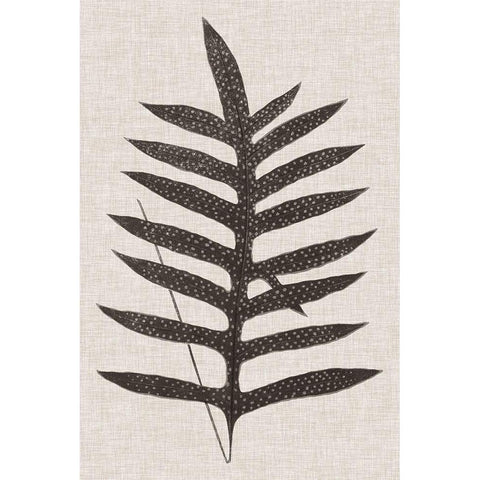 Custom Fern Family VIII (LG) White Modern Wood Framed Art Print by Lowe