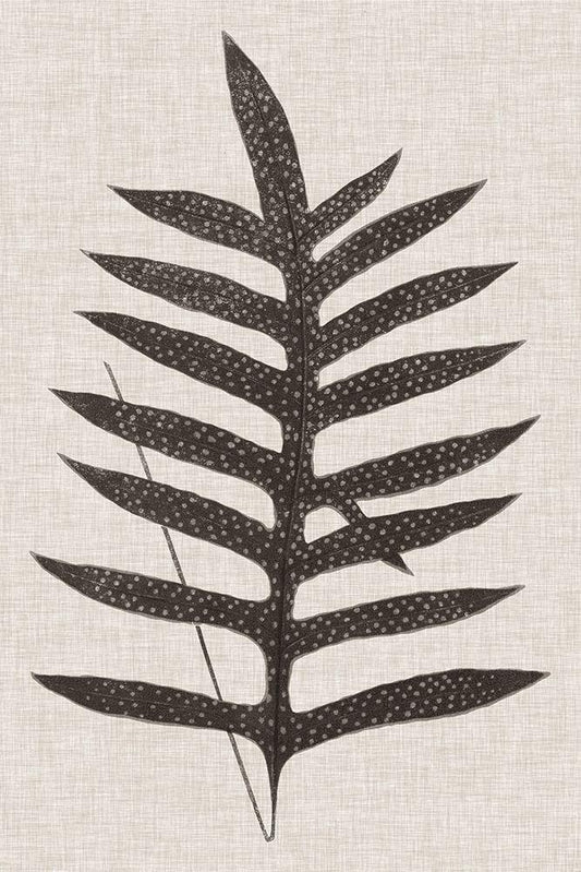 Image Only