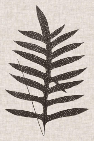 Custom Fern Family VIII (LG) Black Ornate Wood Framed Art Print with Double Matting by Lowe