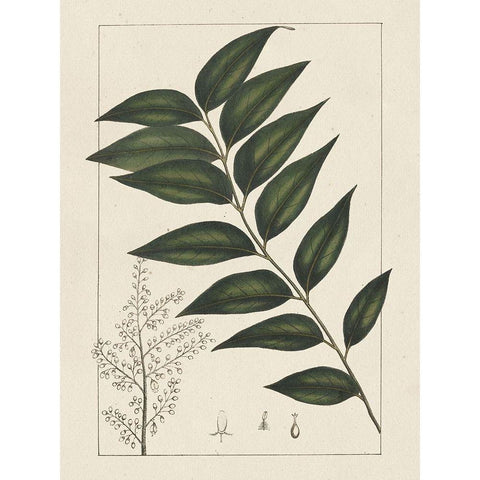 Custom Silva Leaves III (ASH) Gold Ornate Wood Framed Art Print with Double Matting by Silva, John