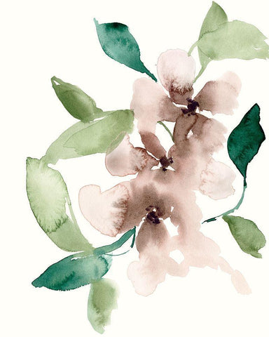 Mauve Flowers I White Modern Wood Framed Art Print with Double Matting by Goldberger, Jennifer