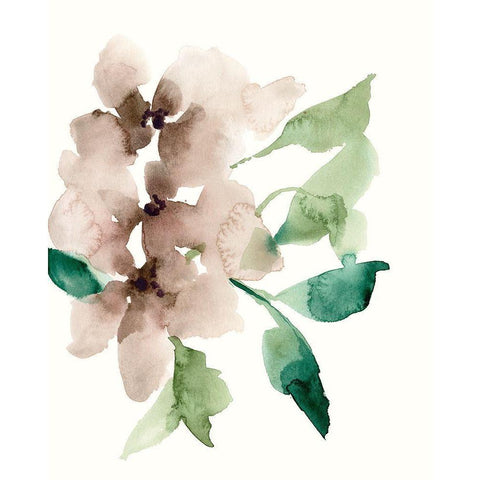 Mauve Flowers II Black Modern Wood Framed Art Print with Double Matting by Goldberger, Jennifer