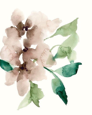 Mauve Flowers II White Modern Wood Framed Art Print with Double Matting by Goldberger, Jennifer