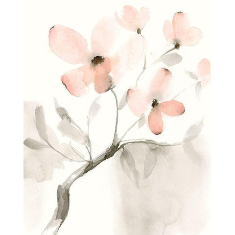 Dogwood Dream I Black Modern Wood Framed Art Print with Double Matting by Goldberger, Jennifer