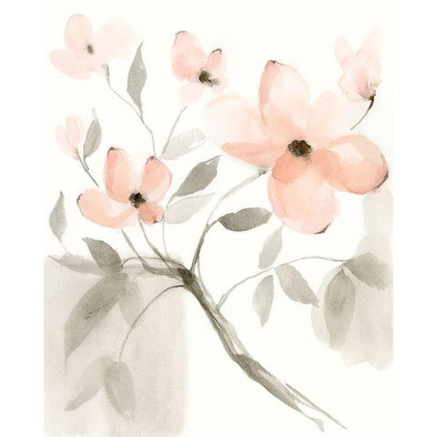 Dogwood Dream II Black Modern Wood Framed Art Print with Double Matting by Goldberger, Jennifer