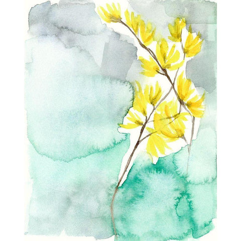 Forsythia Dreams II Black Modern Wood Framed Art Print with Double Matting by Goldberger, Jennifer