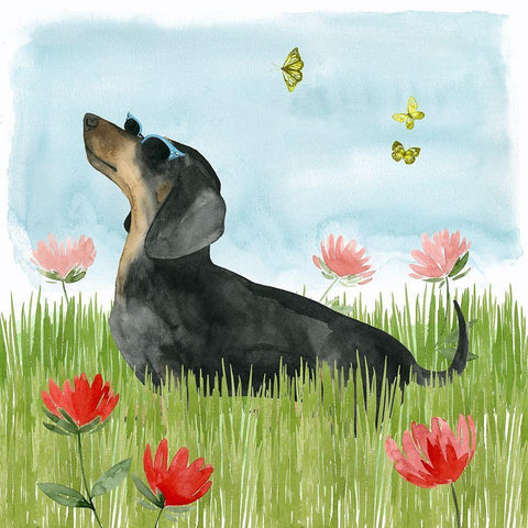 Park Pup I Black Modern Wood Framed Art Print by Popp, Grace