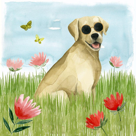 Park Pup II White Modern Wood Framed Art Print by Popp, Grace