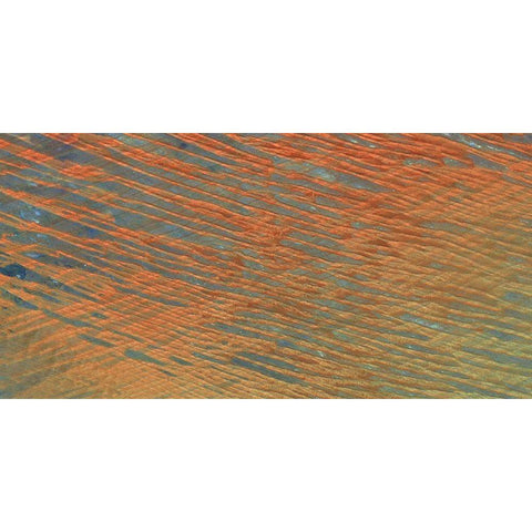 Desert Patterns I Gold Ornate Wood Framed Art Print with Double Matting by Ludwig, Alicia