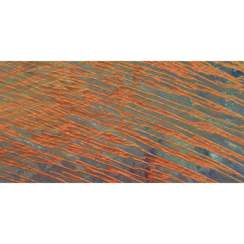 Desert Patterns II Gold Ornate Wood Framed Art Print with Double Matting by Ludwig, Alicia