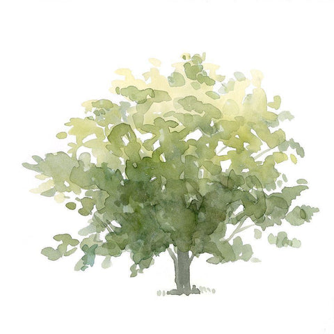 Lonely Oak I White Modern Wood Framed Art Print by Scarvey, Emma