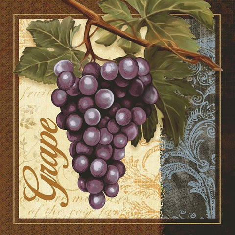 Fruit Illustration II Black Modern Wood Framed Art Print with Double Matting by White, Abby