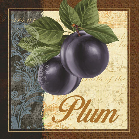 Fruit Illustration IV Black Modern Wood Framed Art Print with Double Matting by White, Abby