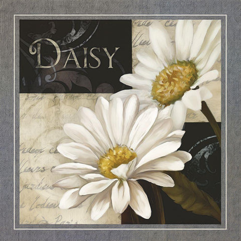 Flowers on BandW III White Modern Wood Framed Art Print with Double Matting by White, Abby