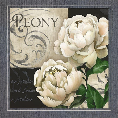 Flowers on BandW IV Black Modern Wood Framed Art Print with Double Matting by White, Abby