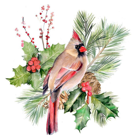 Cardinal Holly Christmas II Black Ornate Wood Framed Art Print with Double Matting by Parker, Jennifer Paxton