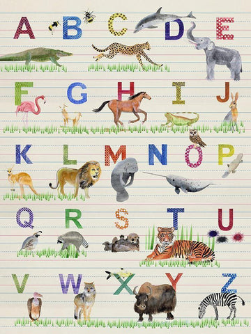 Alphabet Animals White Modern Wood Framed Art Print with Double Matting by Ludwig, Alicia