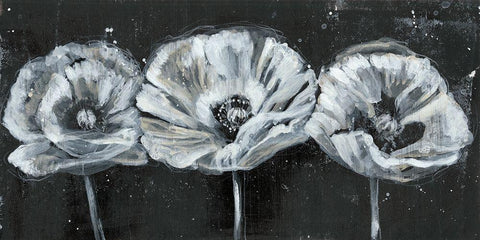 White Trio on Black II White Modern Wood Framed Art Print with Double Matting by Goldberger, Jennifer