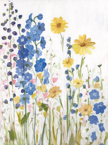 Periwinkle Wildflowers I White Modern Wood Framed Art Print with Double Matting by Iafrate, Sandra